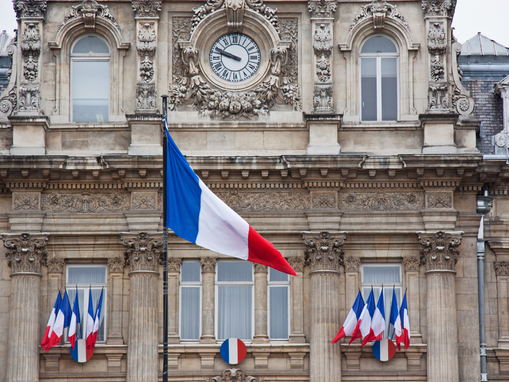 Viva la France! - Flags for Bastille Day, France