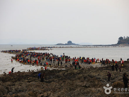 Jindo Miracle Sea Road Festival, Jeollanam-do