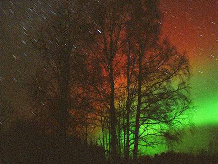 Aurora Borealis, Karalia, Russia / Kirill Bolshukhin, Flickr