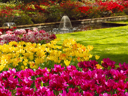 Keukenhof Gardens, Lisse, Netherlands