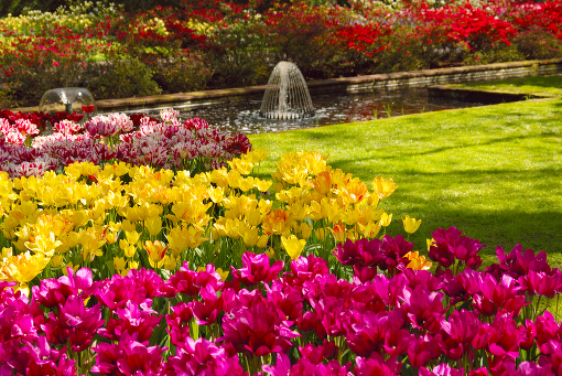 Выбираем маршрут: Нидерланды, Парк цветов Кёкенхоф - Fountain in the Keukenhof park, Netherlands