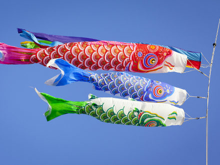 Carp Streamers