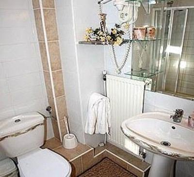 фото отеля Roco Hotel Izvin