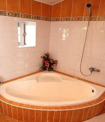 фото отеля Roco Hotel Izvin