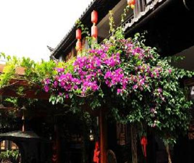 фото отеля Peony Garden Hostel