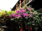 фото отеля Peony Garden Hostel
