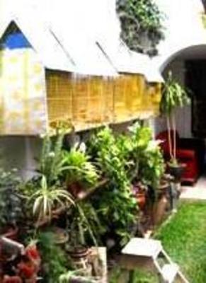 фото отеля Pirwa Hostel Nasca