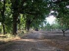 фото отеля Agriturismo Terrenia Taormina