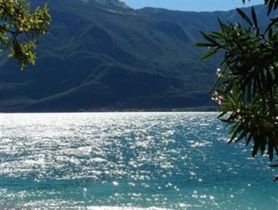 фото отеля Hotel Lido Limone sul Garda