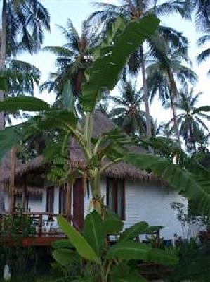 фото отеля Warapura Resort