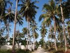 фото отеля Warapura Resort
