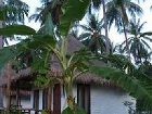 фото отеля Warapura Resort