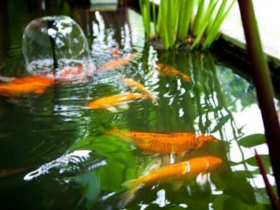 фото отеля Ayara Villas Phang Nga