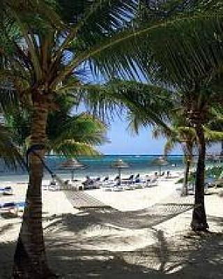 фото отеля Divi Carina Bay Beach Resort & Casino Saint Croix