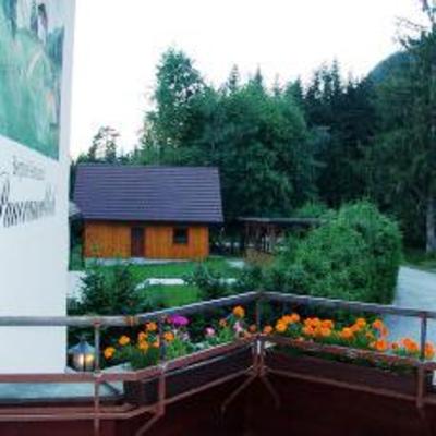 фото отеля Panoramablick Schneerose Berghotel und Restaurant