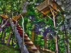 фото отеля La Maison du Bois