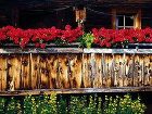 фото отеля Alpenhotel Speckbacher Hof