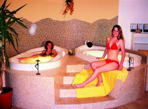 фото отеля Hotel Des Glucks - Landhotel Fischl