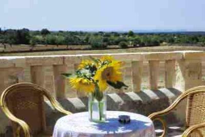 фото отеля Hotel Finca Son Estrany Llucmajor