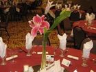 фото отеля Hampton Inn & Suites Scottsbluff Conference Center