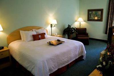 фото отеля Hampton Inn and Suites East UCF Orlando