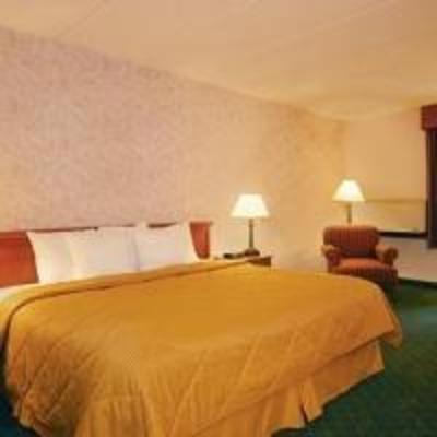фото отеля Comfort Inn Plymouth (Minnesota)