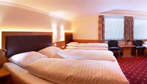 фото отеля Hotel Finkenbergerhof