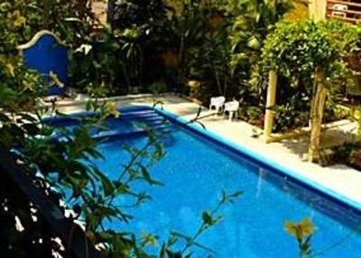 фото отеля Hotel Palmeras