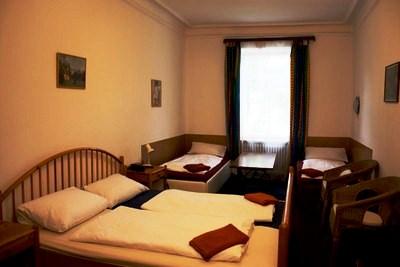фото отеля Hotel-Pension Schmellergarten