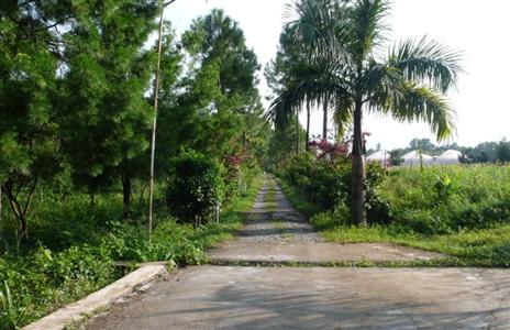 фото отеля Vishranti Resort Dehradun