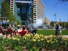 фото отеля Embassy Suites Detroit Southfield