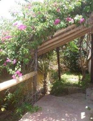 фото отеля Hospedaje Las Terrazas de Punta Sal