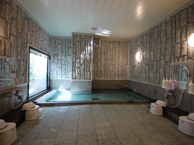 фото отеля Hotel Route Inn Tokonameekimae