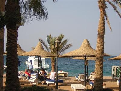 фото отеля Jewels Sahara Boutique Resort