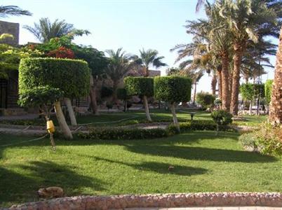 фото отеля Jewels Sahara Boutique Resort