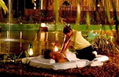 фото отеля Dudhsagar Spa Resort