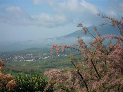 фото отеля Le Torri Di Porsenna Country House