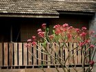 фото отеля The Puka Boutique Resort