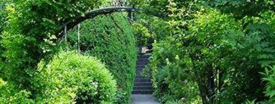 фото отеля Kolbergarten