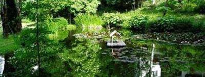 фото отеля Kolbergarten