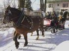 фото отеля Kolbergarten