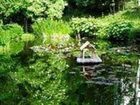 фото отеля Kolbergarten
