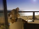 фото отеля Hotel Da Rocha Portimao