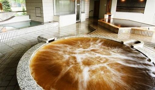 фото отеля Tokachigawa Onsen Daiichi Hotel Otofuke