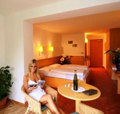 фото отеля Garni Hotel Ludwig Truden im Naturpark