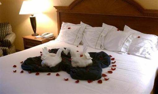 фото отеля Holiday Inn Express Hotel & Suites Chattanooga East Ridge