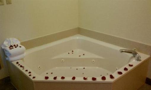 фото отеля Holiday Inn Express Hotel & Suites Chattanooga East Ridge