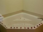 фото отеля Holiday Inn Express Hotel & Suites Chattanooga East Ridge
