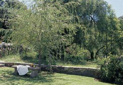 фото отеля Quinta Las Acacias