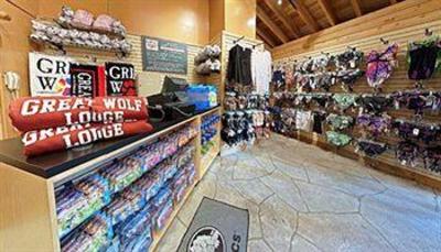 фото отеля Great Wolf Lodge Mason